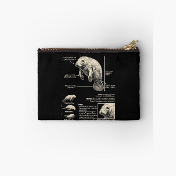 Item preview, Manatee Scientific Anatomy Biology Animal Lover designed and sold by Kimberley King Art  King Art.