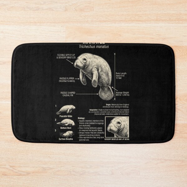 Item preview, Manatee Scientific Anatomy Biology Animal Lover designed and sold by Kimberley King Art  King Art.