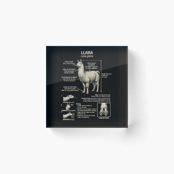 Item preview, Llama Scientific Anatomy Biology Animal Lover designed and sold by Kimberley King Art  King Art.