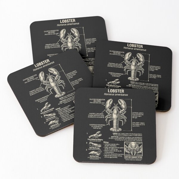 Item preview, Lobster Scientific Anatomy Biology Animal Lover designed and sold by Kimberley King Art  King Art.