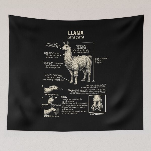 Item preview, Llama Scientific Anatomy Biology Animal Lover designed and sold by Kimberley King Art  King Art.