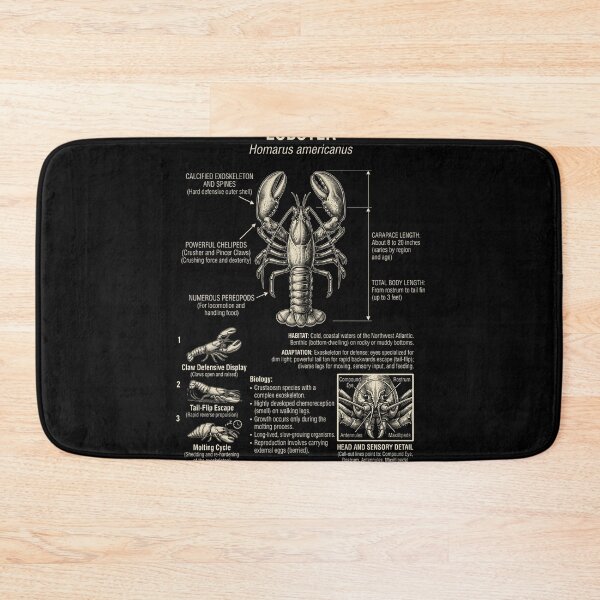 Item preview, Lobster Scientific Anatomy Biology Animal Lover designed and sold by Kimberley King Art  King Art.