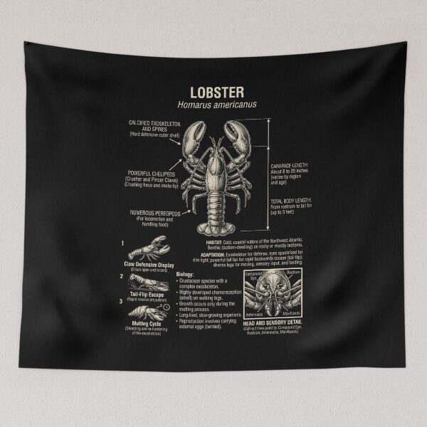 Item preview, Lobster Scientific Anatomy Biology Animal Lover designed and sold by Kimberley King Art  King Art.