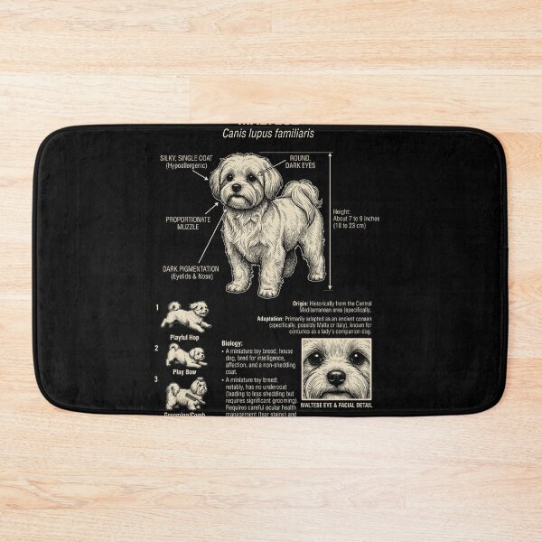 Item preview, Maltese Scientific Anatomy Biology Dog Lover designed and sold by Kimberley King Art  King Art.