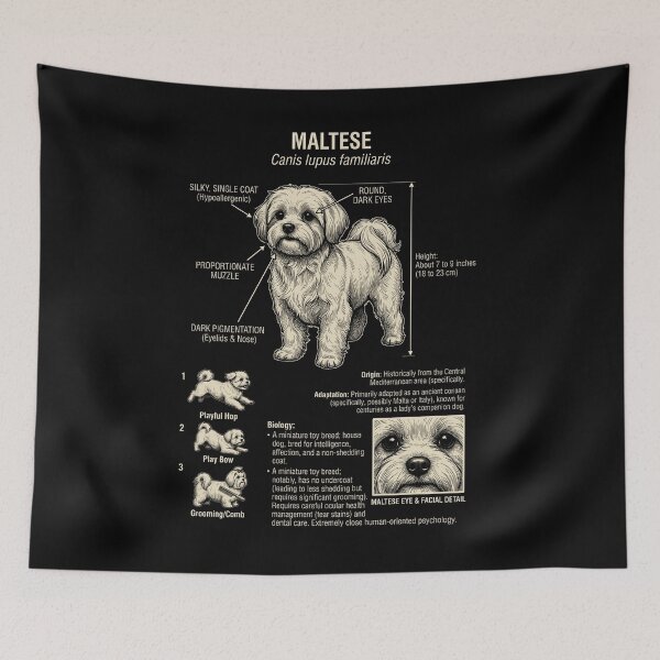Item preview, Maltese Scientific Anatomy Biology Dog Lover designed and sold by Kimberley King Art  King Art.