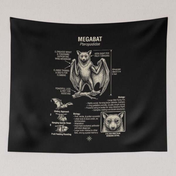 Item preview, Megabats Scientific Anatomy Biology Animal Lover designed and sold by Kimberley King Art  King Art.