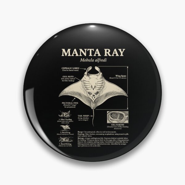 Item preview, Manta Ray Scientific Anatomy Biology Animal Lover designed and sold by Kimberley King Art  King Art.