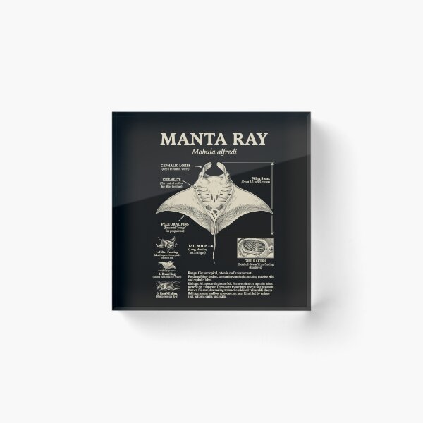 Item preview, Manta Ray Scientific Anatomy Biology Animal Lover designed and sold by Kimberley King Art  King Art.