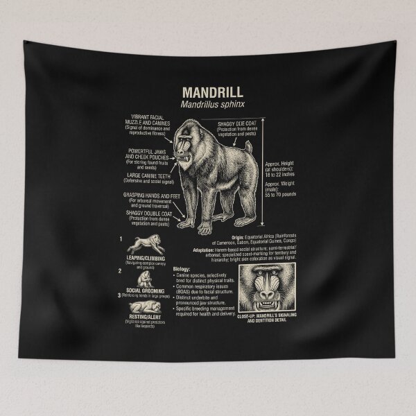 Item preview, Mandrill Scientific Anatomy Biology Animal Lover designed and sold by Kimberley King Art  King Art.