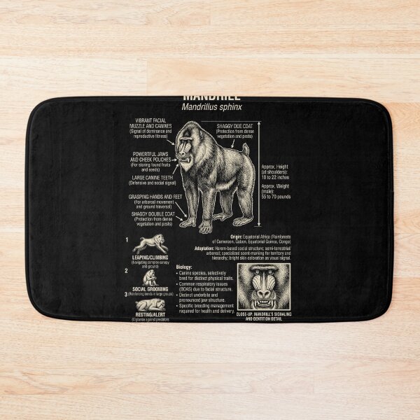 Item preview, Mandrill Scientific Anatomy Biology Animal Lover designed and sold by Kimberley King Art  King Art.