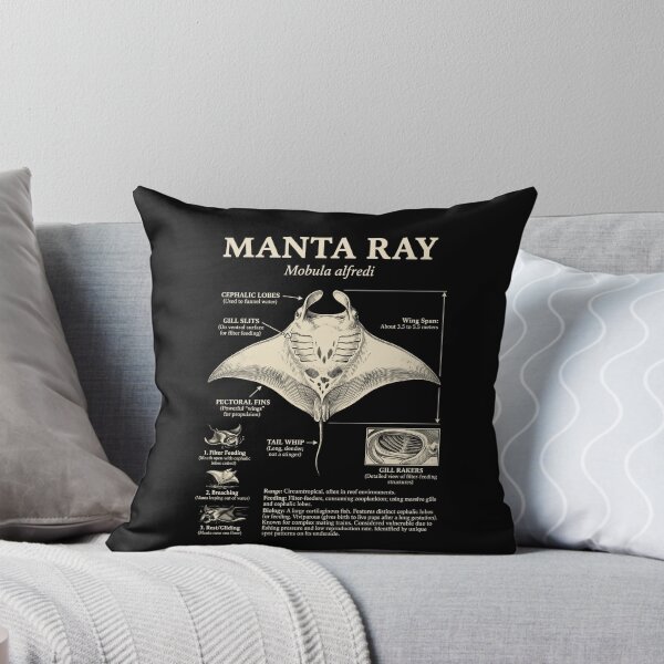 Item preview, Manta Ray Scientific Anatomy Biology Animal Lover designed and sold by Kimberley King Art  King Art.