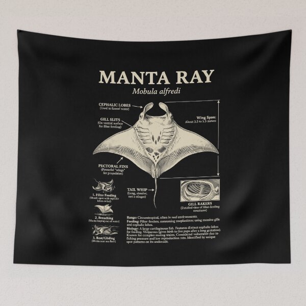 Item preview, Manta Ray Scientific Anatomy Biology Animal Lover designed and sold by Kimberley King Art  King Art.