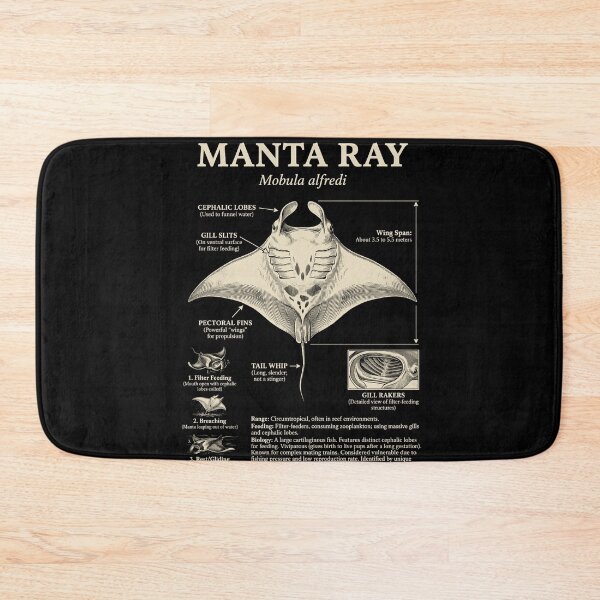 Item preview, Manta Ray Scientific Anatomy Biology Animal Lover designed and sold by Kimberley King Art  King Art.