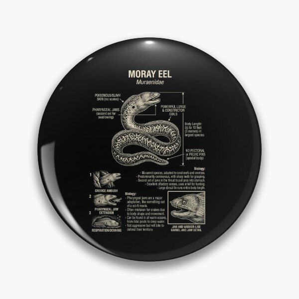 Item preview, Moray Eel Scientific Anatomy Biology Animal Lover designed and sold by Kimberley King Art  King Art.