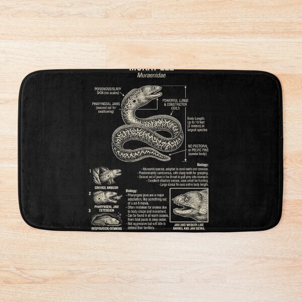 Item preview, Moray Eel Scientific Anatomy Biology Animal Lover designed and sold by Kimberley King Art  King Art.