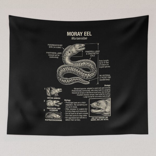 Item preview, Moray Eel Scientific Anatomy Biology Animal Lover designed and sold by Kimberley King Art  King Art.
