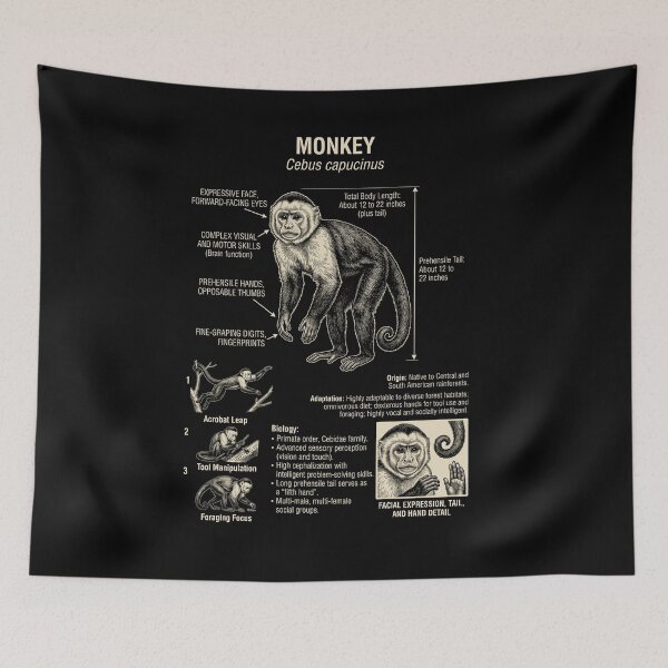 Item preview, Monkey Scientific Anatomy Biology Animal Lover designed and sold by Kimberley King Art  King Art.