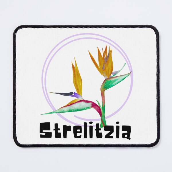 Item preview, Strelitzia_9 designed and sold by PlantSholic.