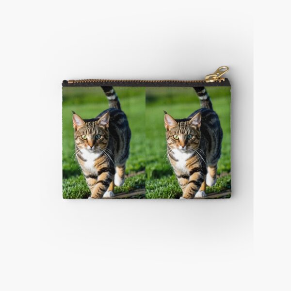 Item preview, Animals - Tabby Cat with Intense Gaze, Walk in Nature designed and sold by DoodyPets.