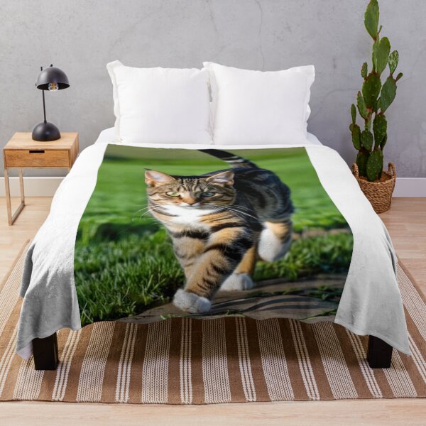 Item preview, Animals - Tabby Cat with Intense Gaze, Walk in Nature designed and sold by DoodyPets.