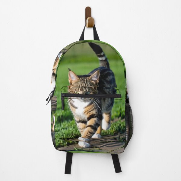 Item preview, Animals - Tabby Cat with Intense Gaze, Walk in Nature designed and sold by DoodyPets.