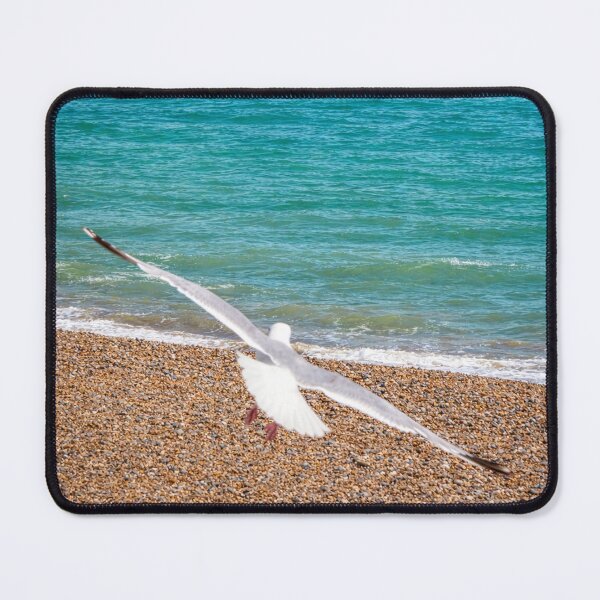 Item preview, Seagull by the Pier designed and sold by SJHorsfall.