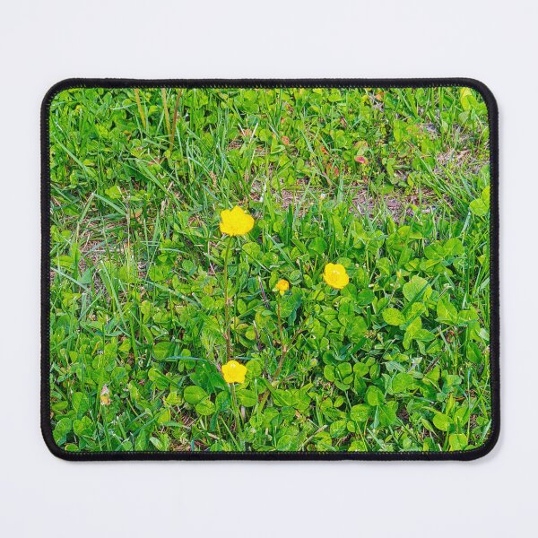 Item preview, The Buttercup Trio designed and sold by Astra-ad-terram.