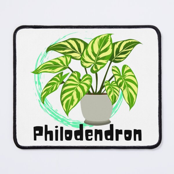 Item preview, Philodendron designed and sold by PlantSholic.