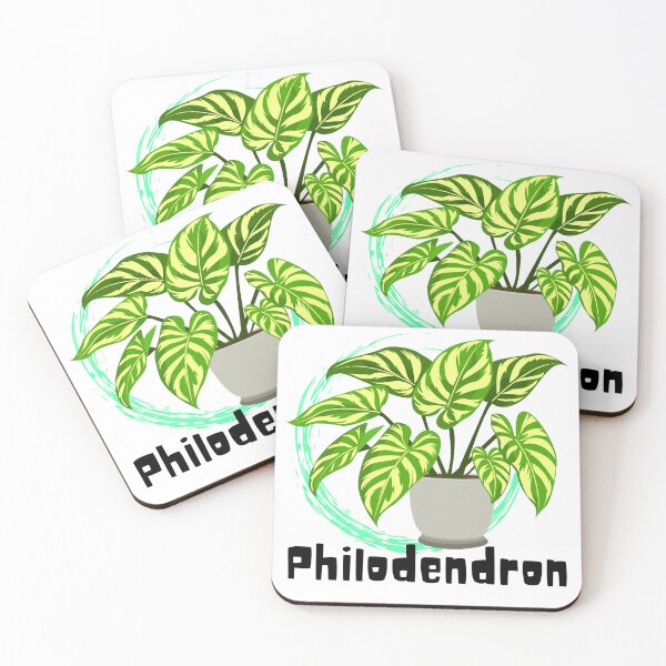 Item preview, Philodendron designed and sold by PlantSholic.