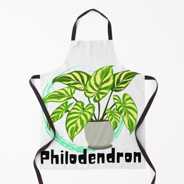 Item preview, Philodendron designed and sold by PlantSholic.