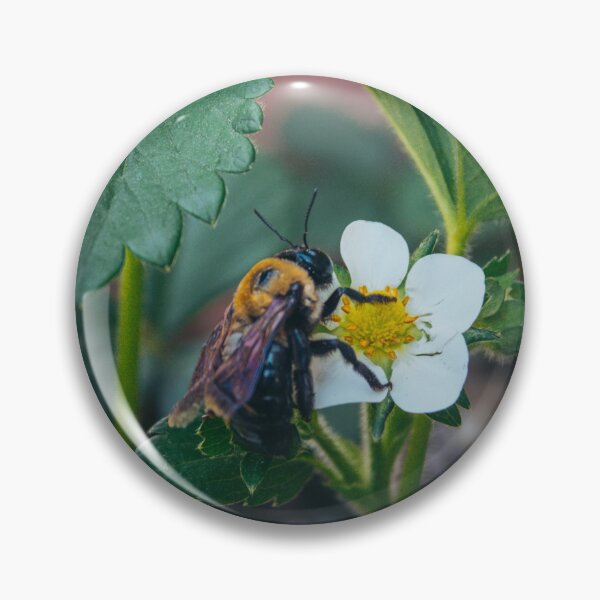 Item preview, Bee on a White Flower designed and sold by jedimasterdubz.