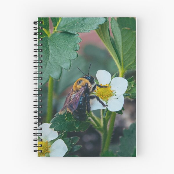 Item preview, Bee on a White Flower designed and sold by jedimasterdubz.
