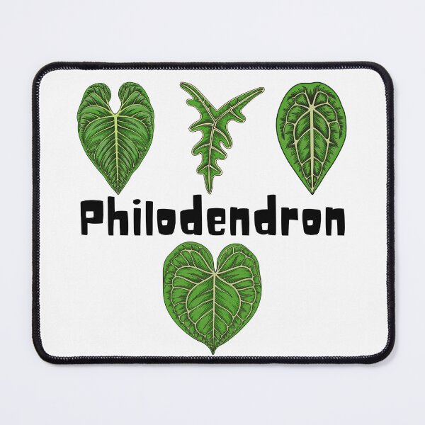 Item preview, Philodendron_3 designed and sold by PlantSholic.