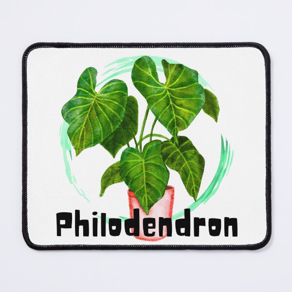 Item preview, Philodendron_4 designed and sold by PlantSholic.