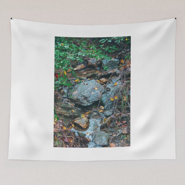 Item preview, Small Creek in fall  designed and sold by jedimasterdubz.