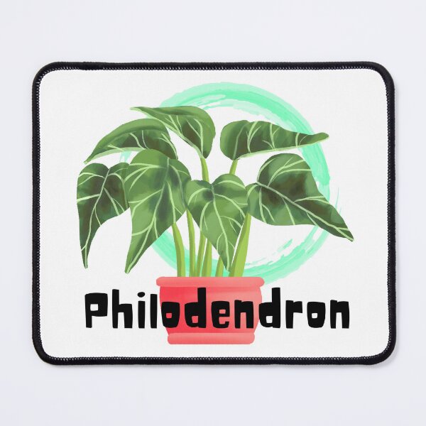Item preview, Philodendron_5 designed and sold by PlantSholic.
