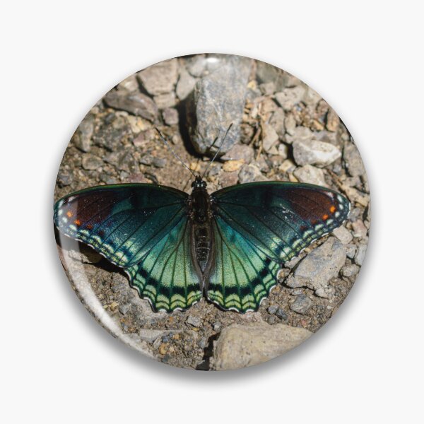 Item preview, Blue-green Butterfly designed and sold by jedimasterdubz.