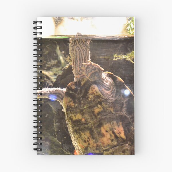 Item preview, Turtally Turtle. designed and sold by Vanessa Galashan.