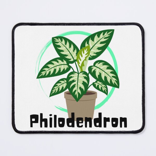Item preview, Philodendron_11 designed and sold by PlantSholic.