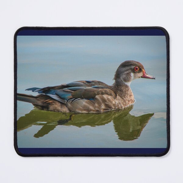 Item preview, A Female Woodduck and Her Reflection designed and sold by Gerda Grice Photography.