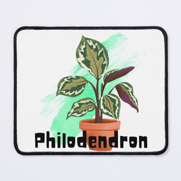 Item preview, Philodendron_15 designed and sold by PlantSholic.
