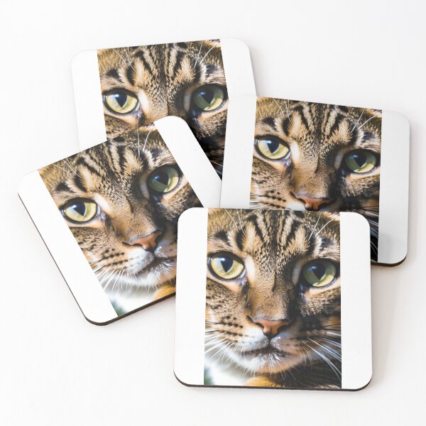 Item preview, Animals - Tabby Cat, Hypnotic Gaze and Piercing Green Eyes designed and sold by DoodyPets.