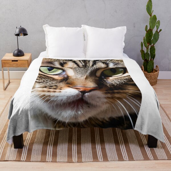 Item preview, Animals - Tabby Cat, Intense Gaze Portrait designed and sold by DoodyPets.