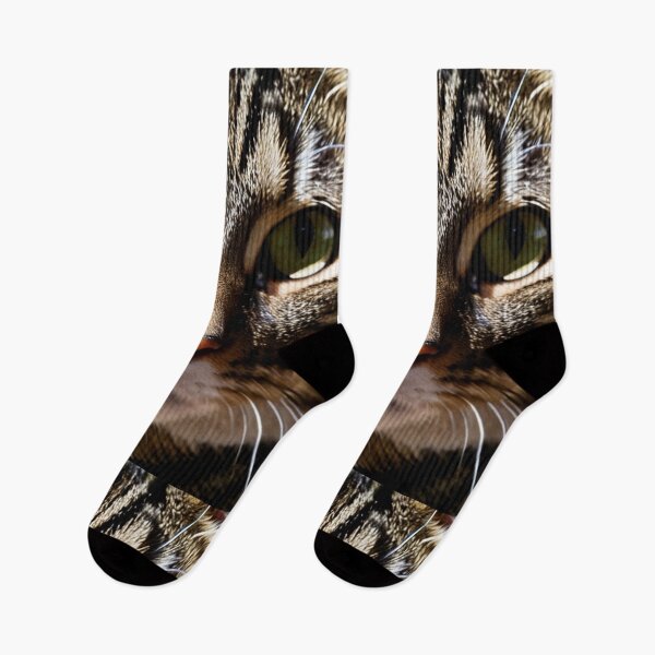 Item preview, Animals - Tabby Cat, Intense Gaze Portrait designed and sold by DoodyPets.