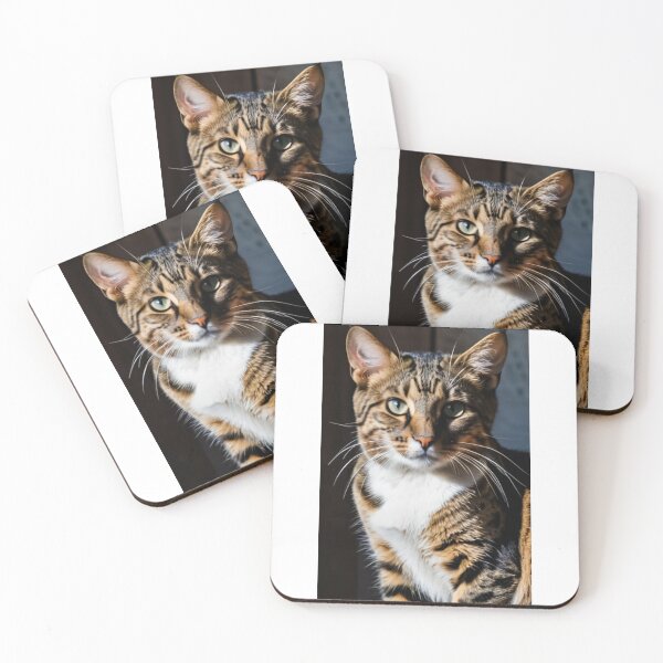 Item preview, Animals - Tabby Cat, Intense Portrait with Green Eyes designed and sold by DoodyPets.