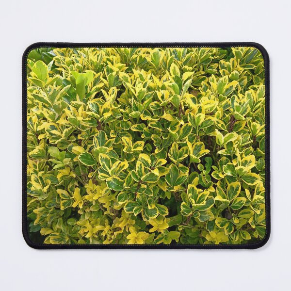 Item preview, Green Garden Foliage designed and sold by PhuongVoArt.