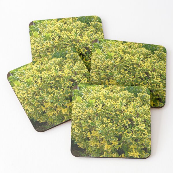 Item preview, Green Garden Foliage designed and sold by PhuongVoArt.