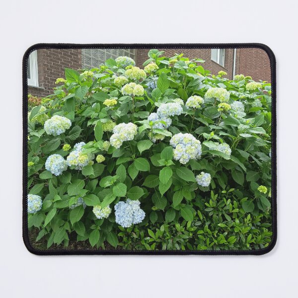 Item preview, White Hydrangea Bloom designed and sold by PhuongVoArt.