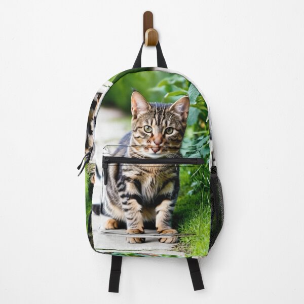 Item preview, Animals - Tabby Cat, Natural Portrait with an Intense Gaze designed and sold by DoodyPets.