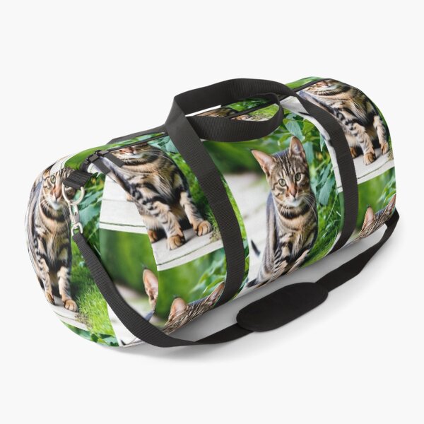 Item preview, Animals - Tabby Cat, Natural Portrait with an Intense Gaze designed and sold by DoodyPets.